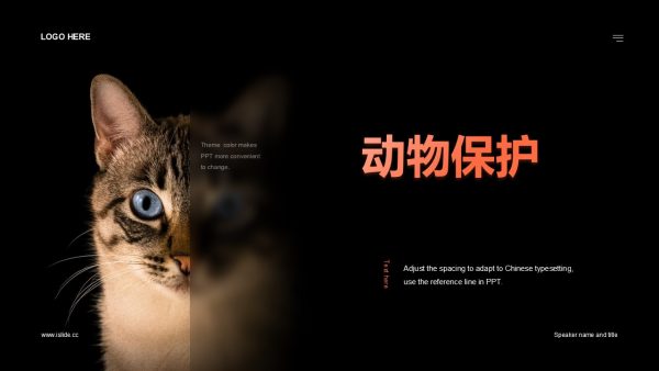 动物保护主题猫猫救助主题PPT模板