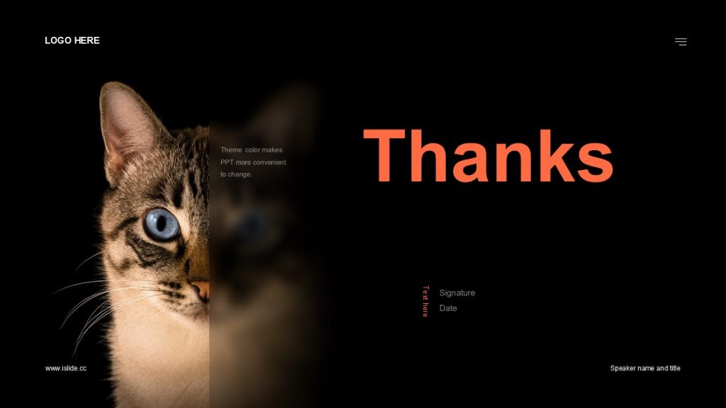 动物保护主题猫猫救助主题PPT模板