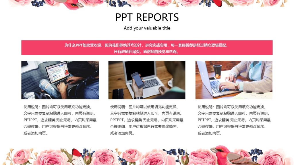 彩绘花鸟超美感精品PPT模板