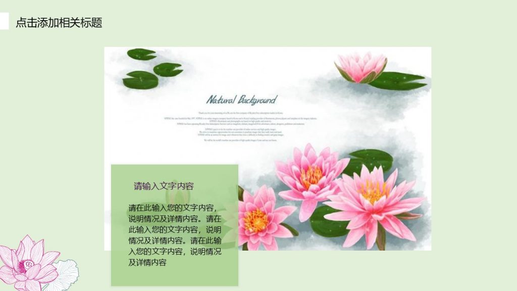 清新手绘荷花商务PPT模板